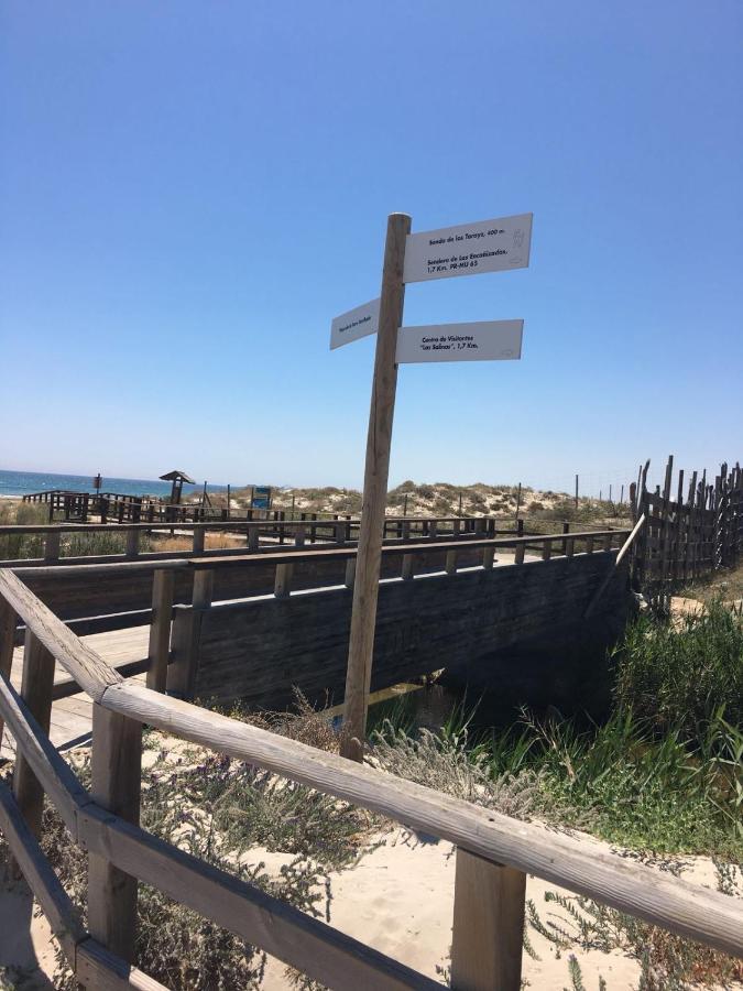 Tualberguejt سان بيذرو ذيل بيناتا المظهر الخارجي الصورة
